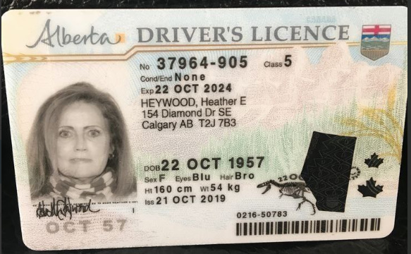 Get Alberta Drivers License