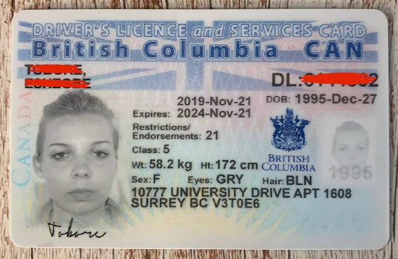 Get British Columbia drivers license​