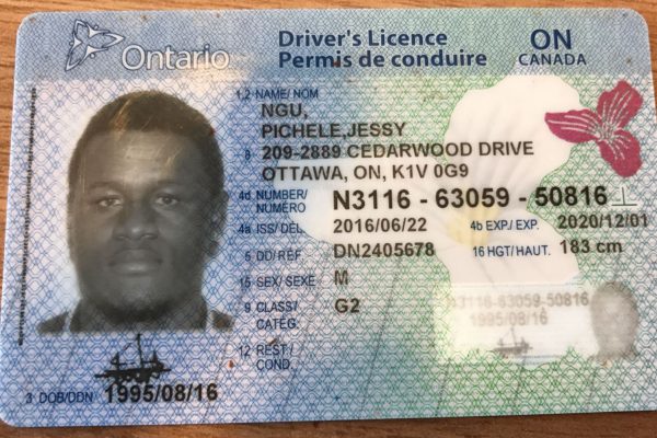 How to Get an Ontario Driver’s License