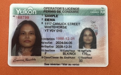 Order Yukon Driver License