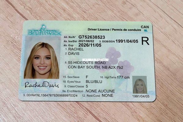 Order New Brunswick Driver License