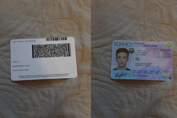 Get Idaho Driver’s License
