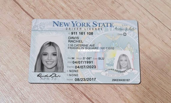 Get New York Drivers License