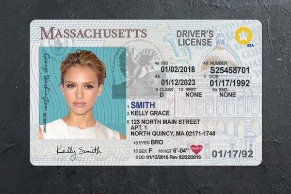 Order Massachusetts Drivers License
