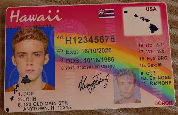 Get A Hawaii Driver license