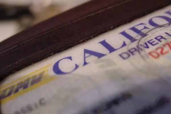 Buy California Drivers License