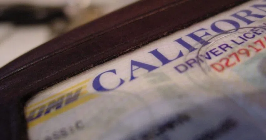 Buy California Drivers License