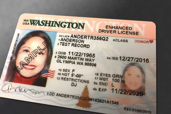 Order Washington DC Drivers License